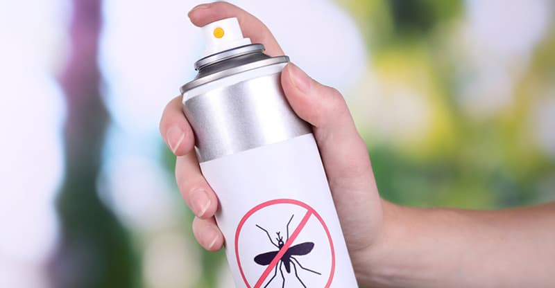 Cách đuổi muỗi trong nhà hiệu quả bạn nên biết